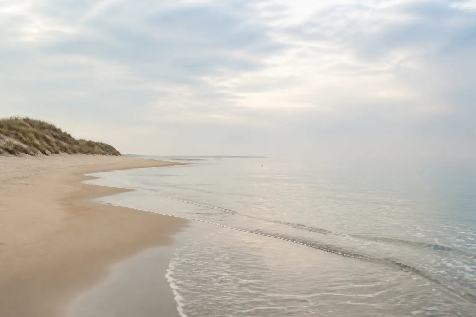 A quiet shoreline under a soft morning sky